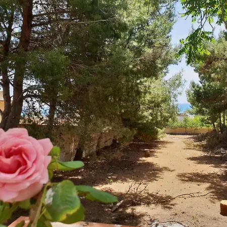 Mediterraneo 3* Triscina