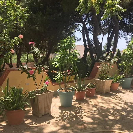 B&B Mediterraneo *