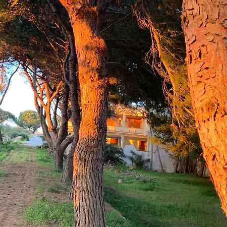 Mediterraneo B&B