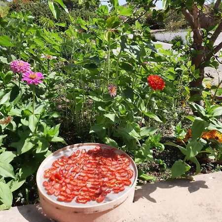 Bed and breakfast Mediterraneo 3*