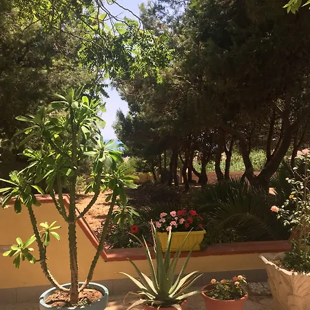 Mediterraneo Bed and breakfast