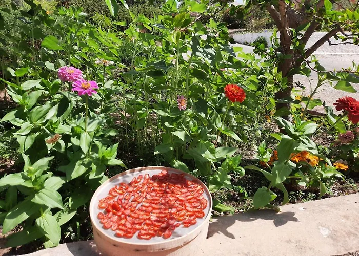 Bed & Breakfast Mediterraneo 3*