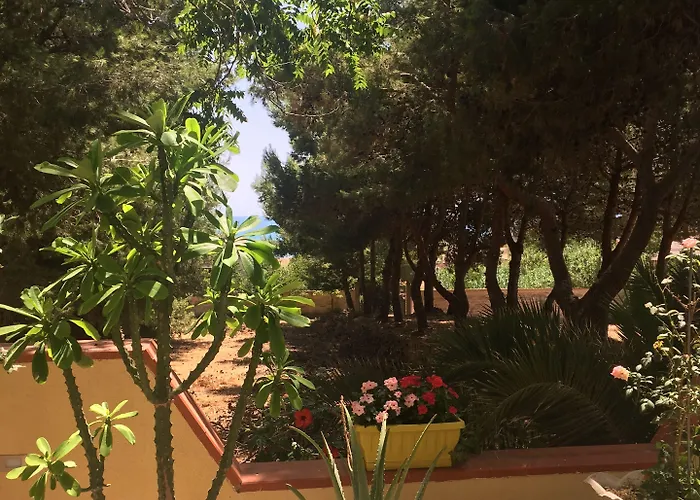 Mediterraneo Bed & Breakfast