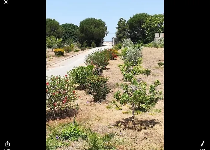 Mediterraneo 3*