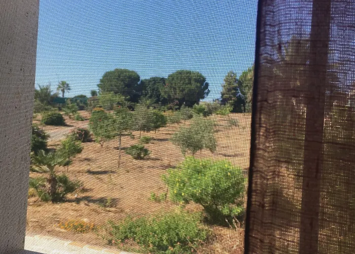 Bed & Breakfast Mediterraneo 3*